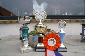 3 van onze toppertjes op kop! Jens, Hinthe en Zairnie