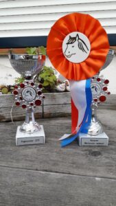 Kampioen merrieveulen 2017