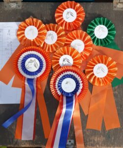 16 september 2019 al onze veulens en onze (grote) Farmetha v.d.Tienmaatsweg een kopplaats. Kleine Navarro en Nadine werden ook nog eens miniveulenkampioen hengst en merrie